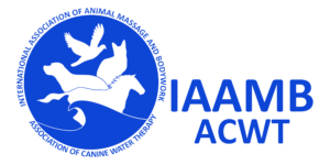 iaambacwt-full-logo-blue-on-trans